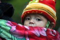 Vietnamese H'mong woman carrying her child Royalty Free Stock Photo